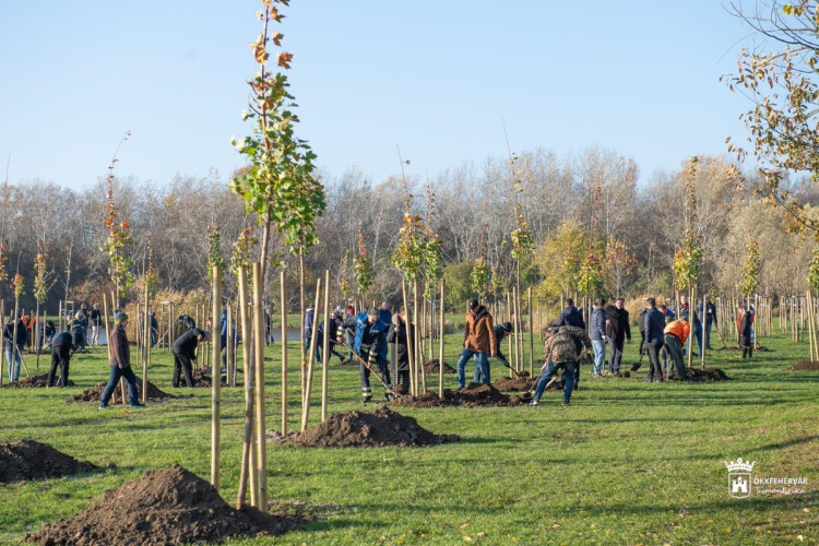 A közösség az első helyen - 75 fát ültetett a Howmet-Köfém Kft.