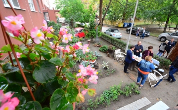 Virágos Székesfehérvár - szeptember 09- től október 06- ig lehet pályázni növényekre