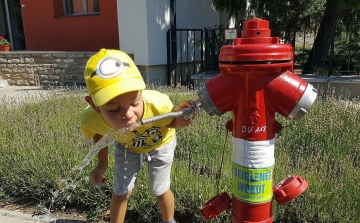 Másodfokú hőségriasztás - Székesfehérvár polgármesterének tájékoztatója