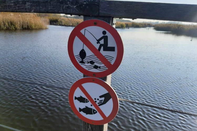 Tilos és illegális a horgászat a Sóstó Természetvédelmi Területen