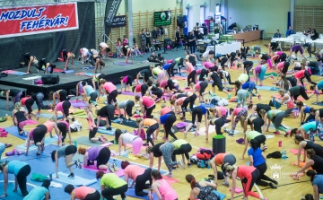 Mozdulj Fehérvár! - sport minden mennyiségben a MOL Arénában