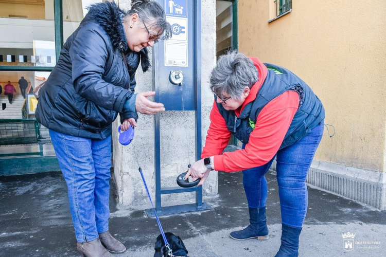 Állatbarát lett a székesfehérvári vasútállomás - chipleolvasót is telepítettek