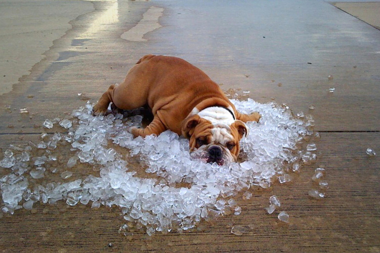 Ismét 30 fok feletti maximumok várhatók a következő napokban