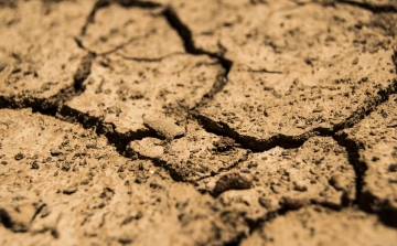 Lettország országos szükségállapotot hirdetett a szárazság miatt