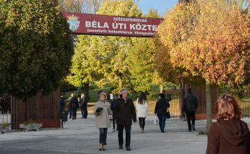 Kegyeleti napok - temetői intézkedések Székesfehérváron