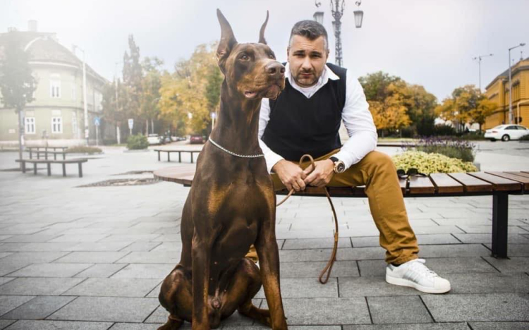 Fokozottan ügyeljünk kedvenceinkre a tűzijáték alatt! Hasznos tanácsok Nyakas Gábortól (The Dog Coach)