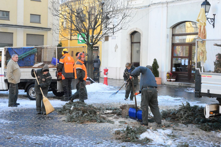 Szociális tűzifa lesz a közterületi karácsonyfákból