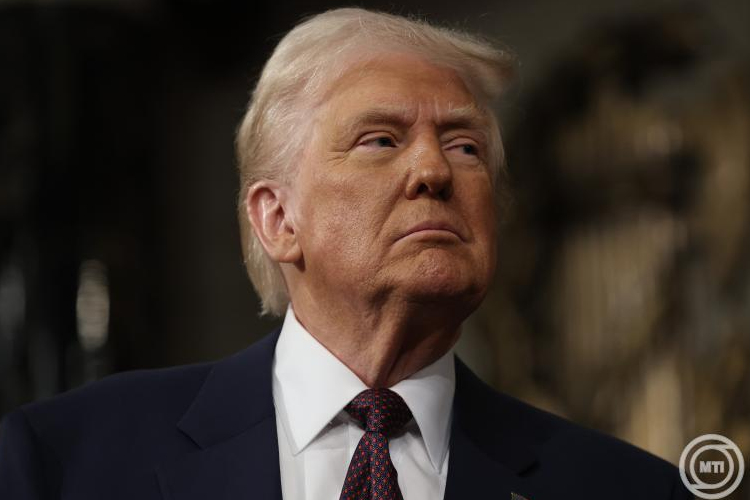 Donald Trump és Vlagyimir Putyin közvetlenül egyeztethet a tűzszüneti javaslatról a következő héten