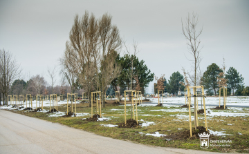 ELKÉSZÜLT A TEMETŐ BŐVÍTÉSE A BÉLA ÚTON - 202 FÁT IS ÜLTETTEK A TEMETŐBEN