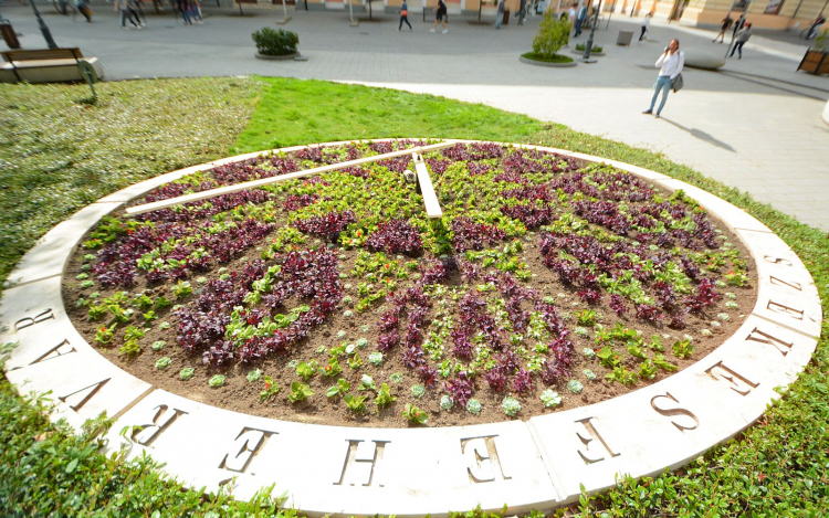 Elkészült a Virágóra beültetése - elkezdte a Városgondnokság az egynyári virágok ültetését