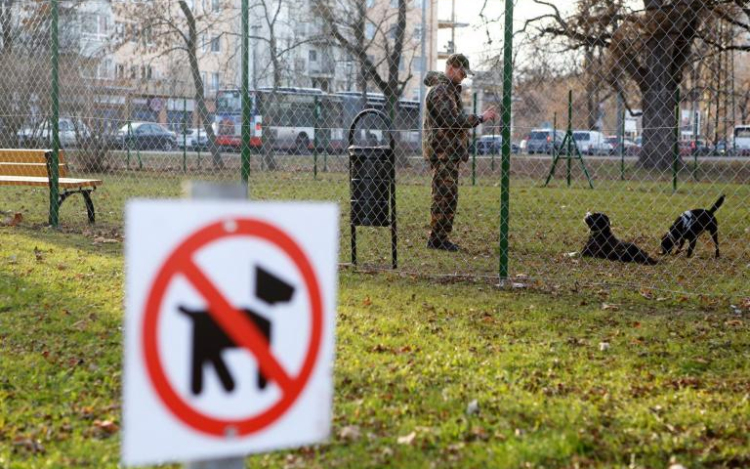 Mehetnek-e kutyák a Halesz parkba?