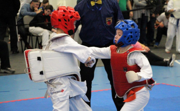 Fehérvár Karate Akadémia: sok szép érem Tatáról