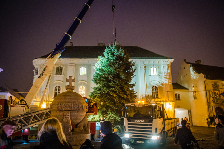 LEPSÉNYBŐL ÉRKEZETT SZÉKESFEHÉRVÁR IDEI KARÁCSONYFÁJA