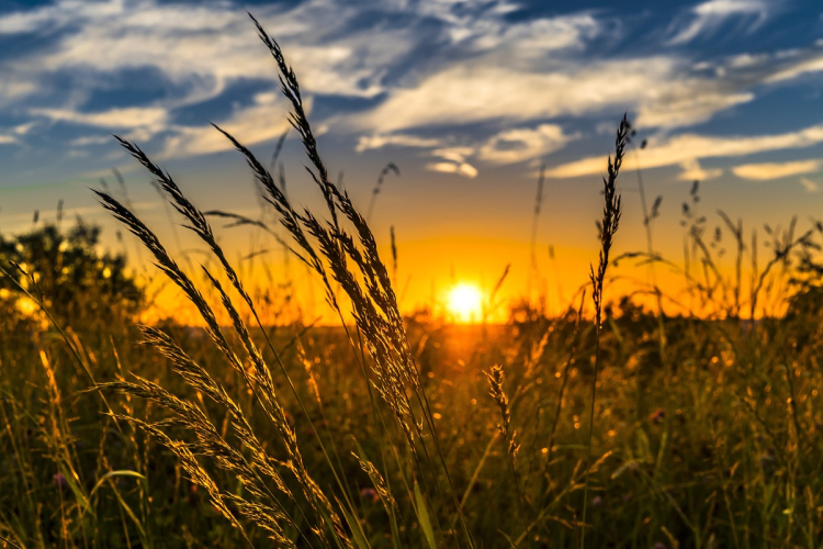 Napos-felhős, változékony őszi idő várható a héten