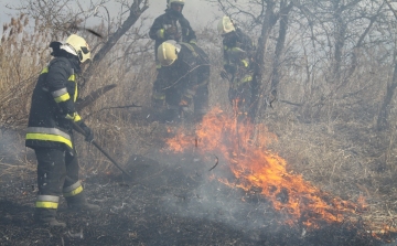 Előzzük meg a szabadtéri tüzeket - Fehérváron továbbra is tilos égetni!