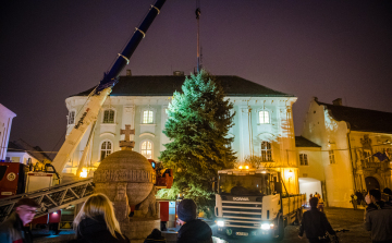 LEPSÉNYBŐL ÉRKEZETT SZÉKESFEHÉRVÁR IDEI KARÁCSONYFÁJA