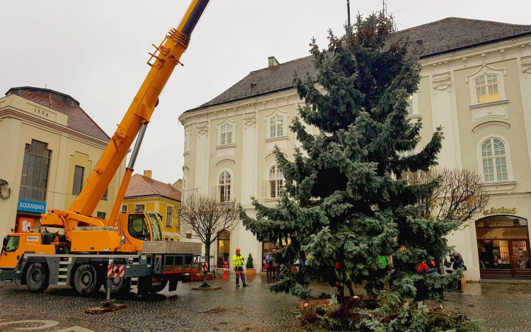 Az Adonyi útról érkezett a Városház térre Fehérvár fenyőfája