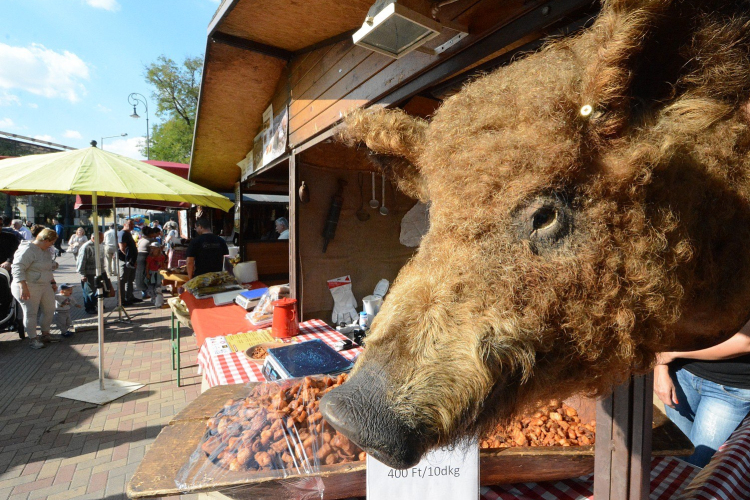 Hétvégén lesz a Palotai Kapu téren az idei Mangalica Fesztivál