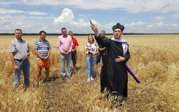 Péter-Pál napja: az aratás ünnepe