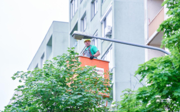 A héten ezekben az utcákban zajlik Fehérváron a közvilágítás korszerűsítése