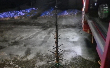 Karácsonyfa gyulladt ki Székesfehérváron