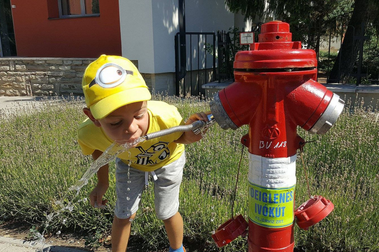 Másodfokú hőségriasztás - Székesfehérvár polgármesterének tájékoztatója